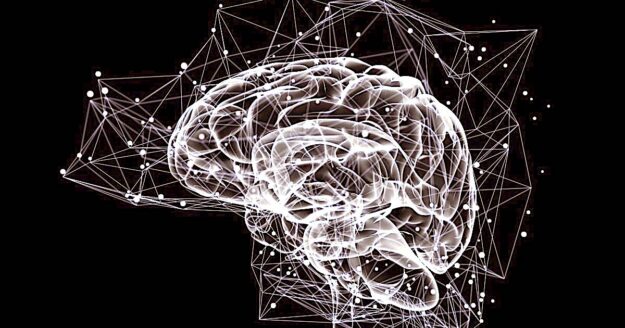 Illustration of the thought processes in the brain