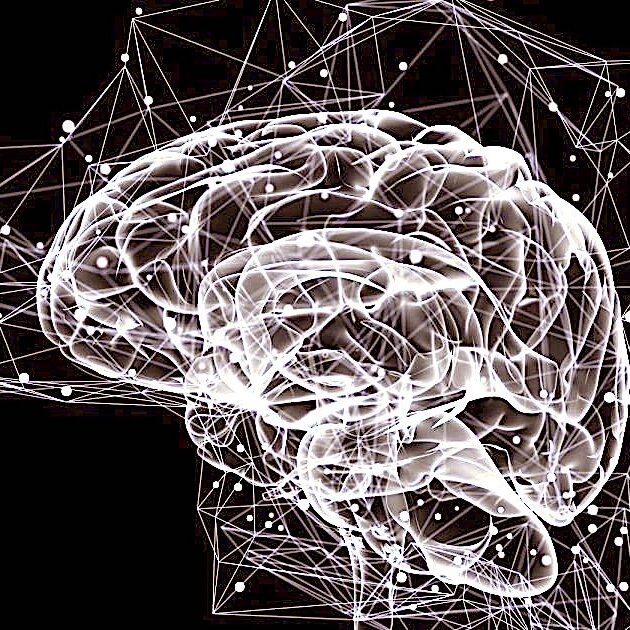 Illustration of the thought processes in the brain