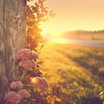 INSTITUTOBLASCOAMANECER INSTITUTOBLASCOAMANECER